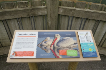 Pelican sign.JPG